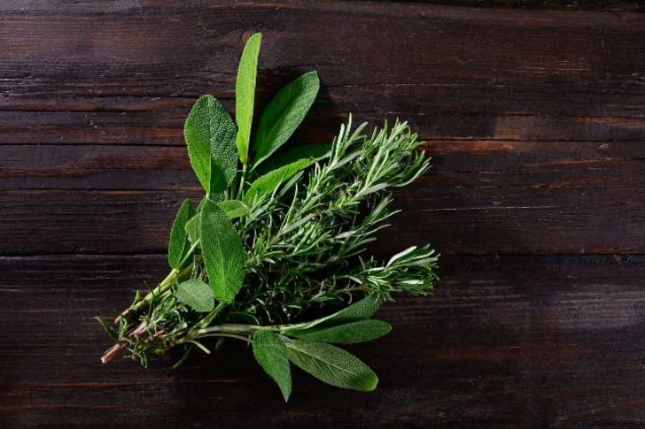 Fines herbes nedir?