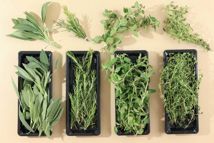 Fines herbes hangi otlardan oluşur?