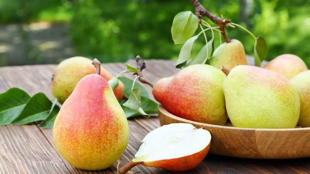 Armut Hangi Mevsimde Yetişir? Ne Zaman Çıkar?
