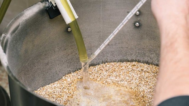 Bira Kaç Kalori? Bira Çeşitlerinin Kalori Değerleri