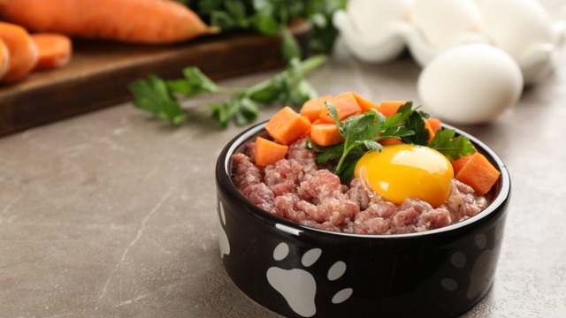 Köpekler Ne Yer: Hazır Mama Dışında Sağlıklı Beslenme Önerileri