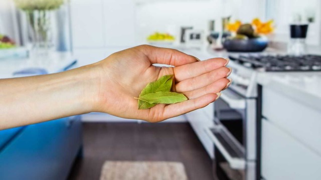 Mutfakta Sık Görülen Güve Nedir? Nasıl Temizlenir?