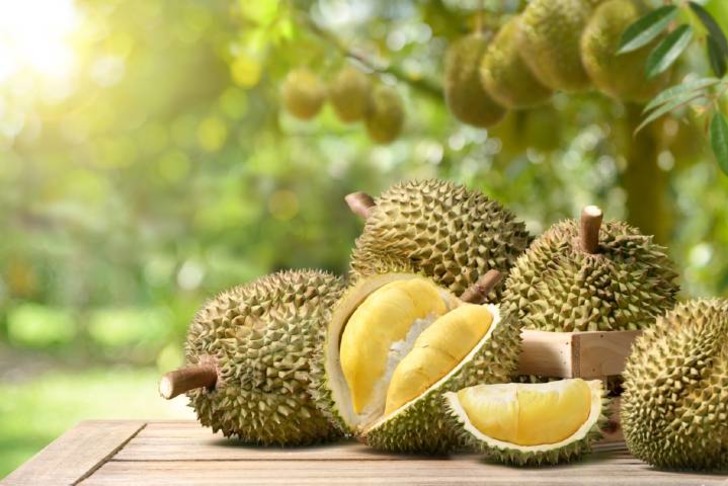 Durian