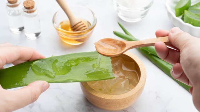 Evde Uygulanabilecek En Etkili Aloe Vera Maskesi Tarifleri