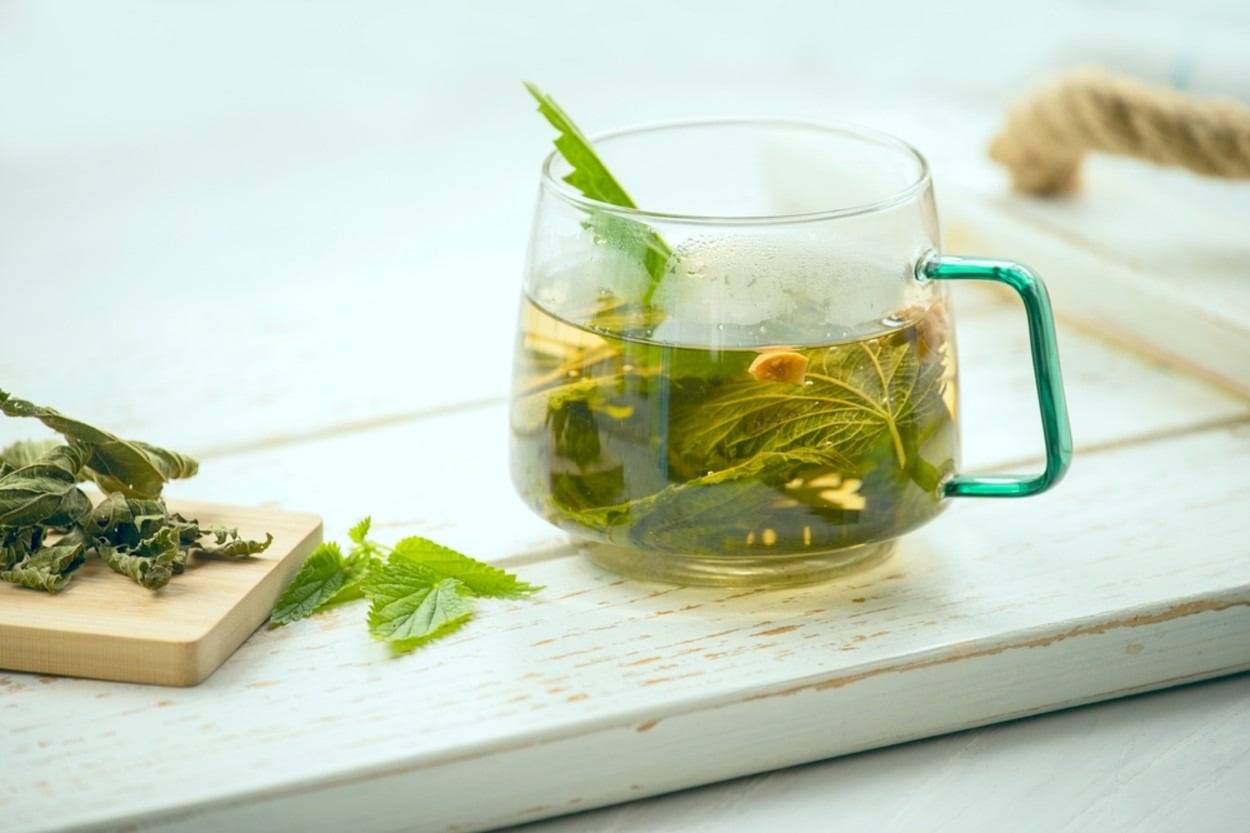 Şifalı Isırgan Otu Çayı Nasıl Hazırlanır? Faydaları Nedir?