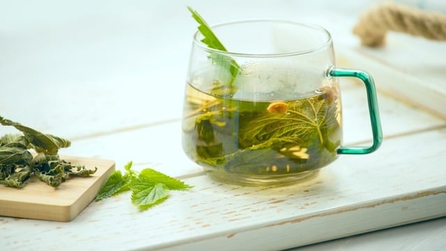 Şifalı Isırgan Otu Çayı Nasıl Hazırlanır? Faydaları Nedir?