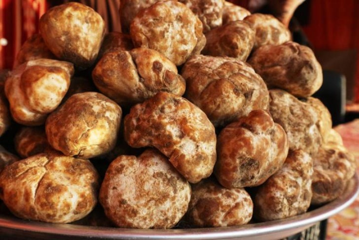 Domalan Mantarı
