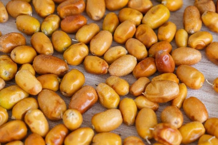 İğde