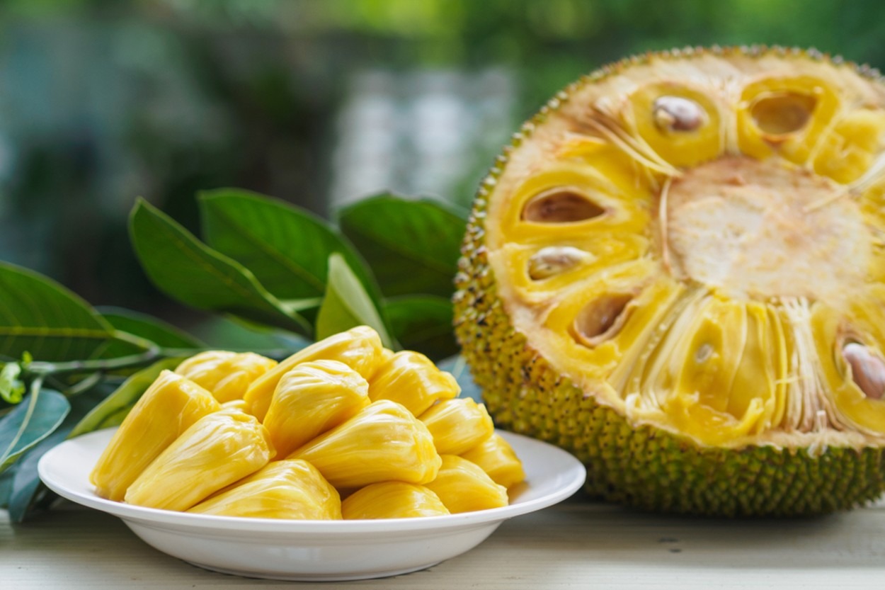 Egzotik Meyvelerden Jack Fruit (Jak Meyvesi) Nedir?