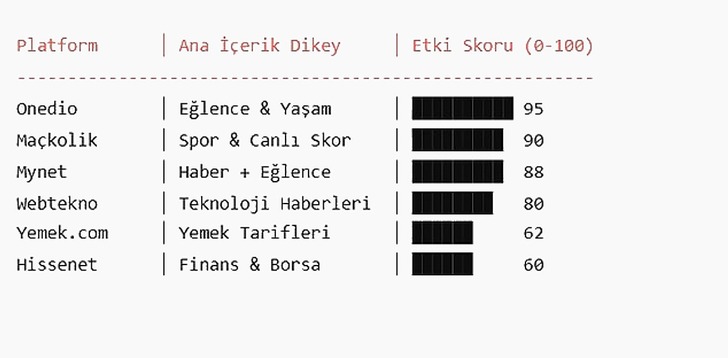 Mediazone Etki Skoru