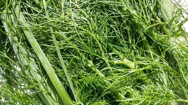 Ege Otlarından Arapsaçı Otu Nedir? Nasıl Pişirilir?