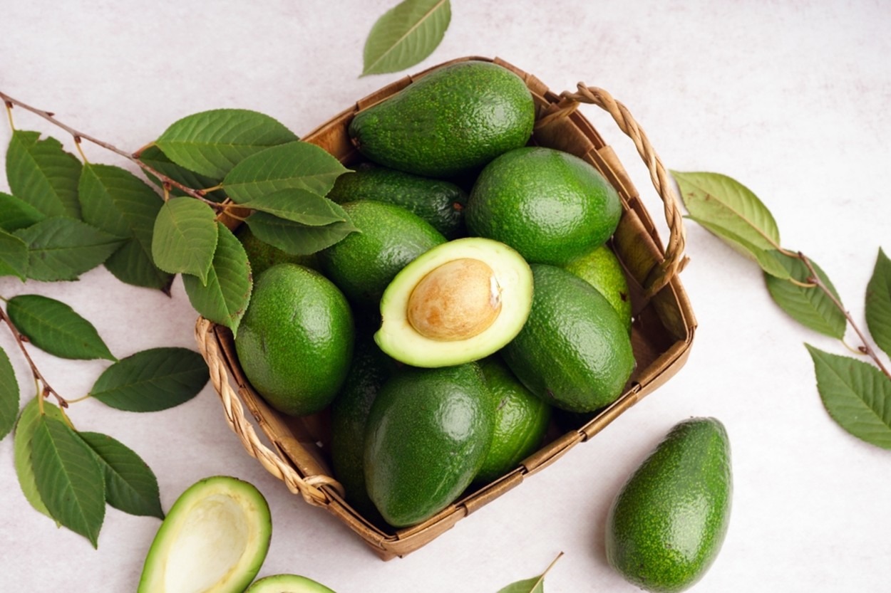 Avokado Yaprağının Faydaları Nelerdir, Nasıl Kullanılır?
