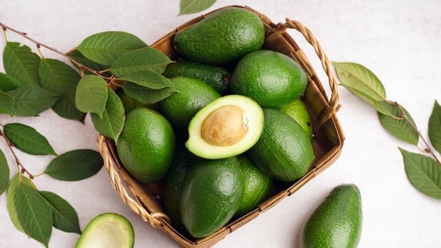 Avokado Yaprağının Faydaları Nelerdir, Nasıl Kullanılır?