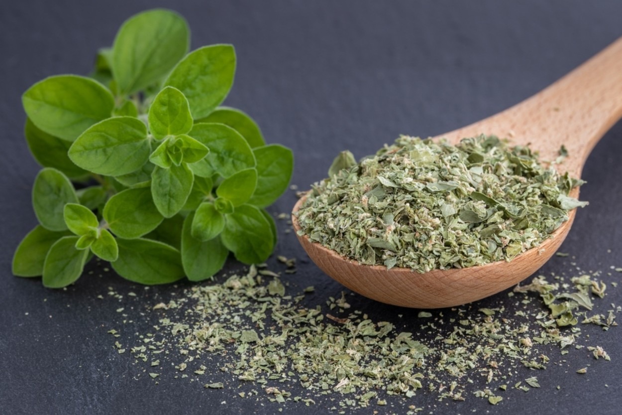 Mercanköşk Nedir, Faydaları Nelerdir, Nasıl Kullanılır?