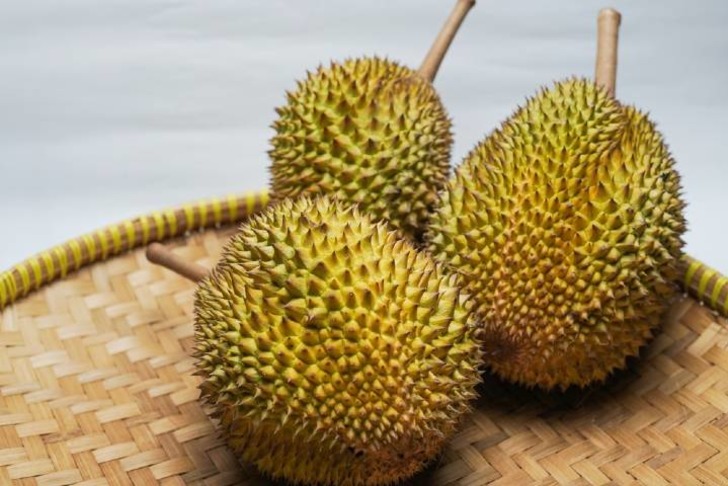 Durian Meyvesi