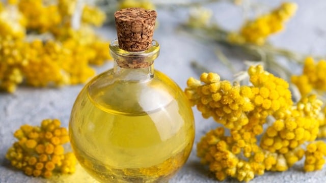 Ölmez Çiçek (Altın Otu) Nedir? Faydaları Nelerdir?