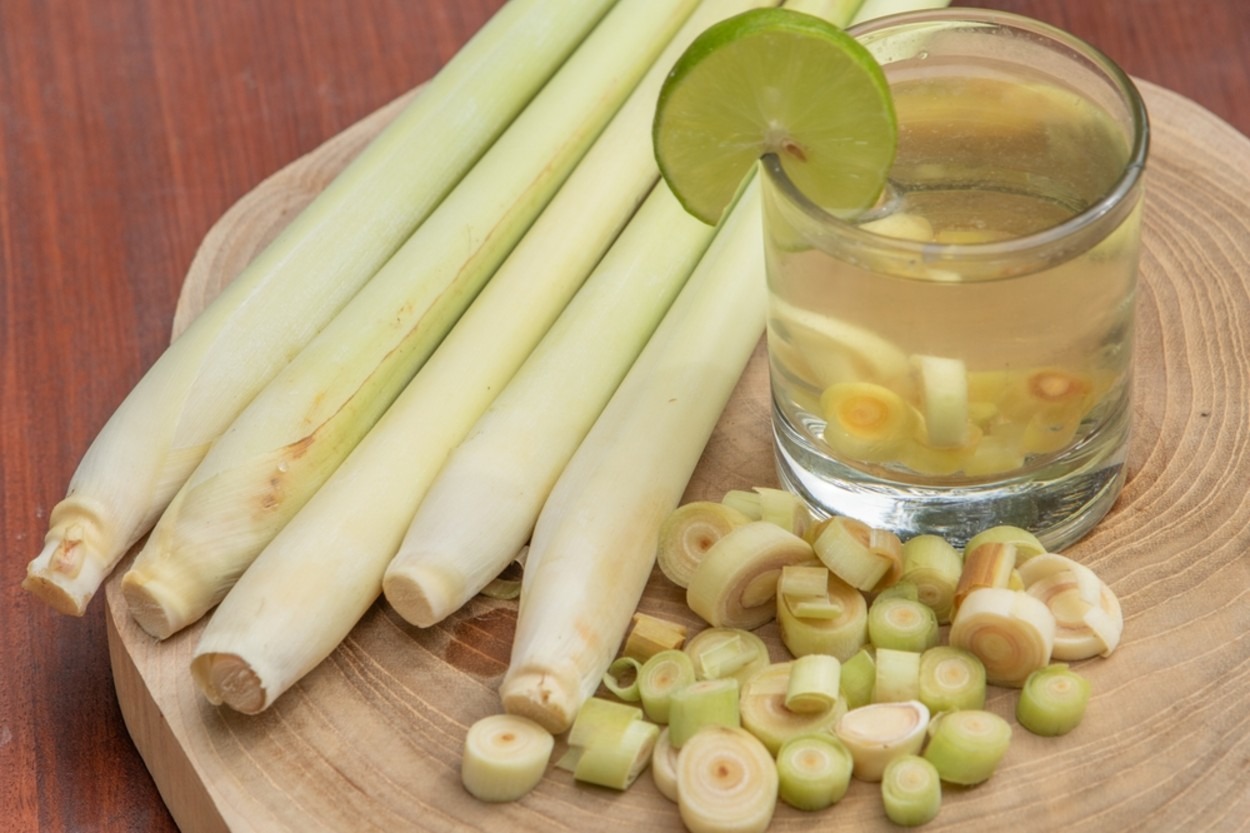 Limon Otu (Lemongrass) Nedir? Ne İşe Yarar?