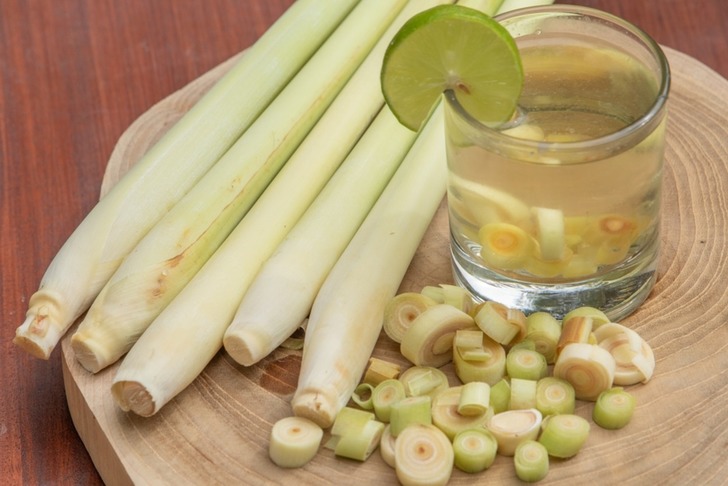 Limon Otu