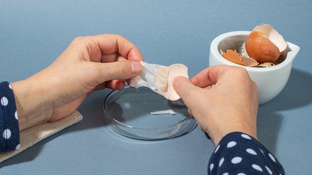 Yumurta Kabuğu Zarı Faydaları Nelerdir, Nasıl Tüketilir?