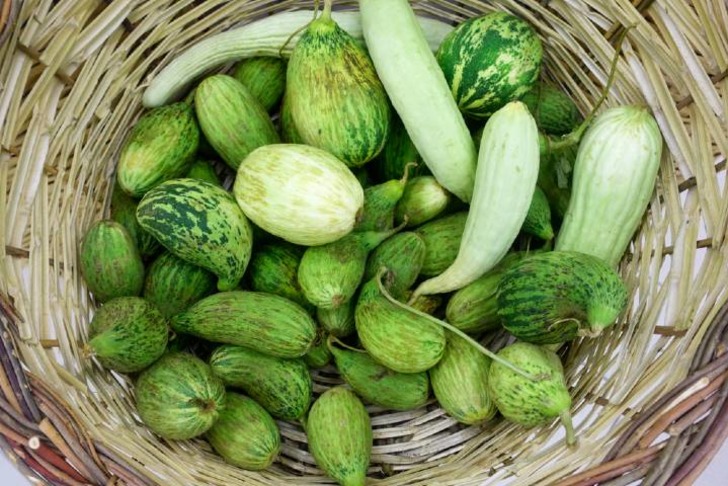 Kelek