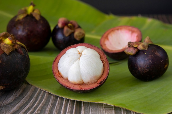 Mangosten