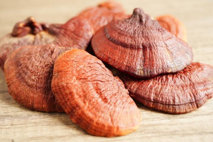 Reishi Mantarı