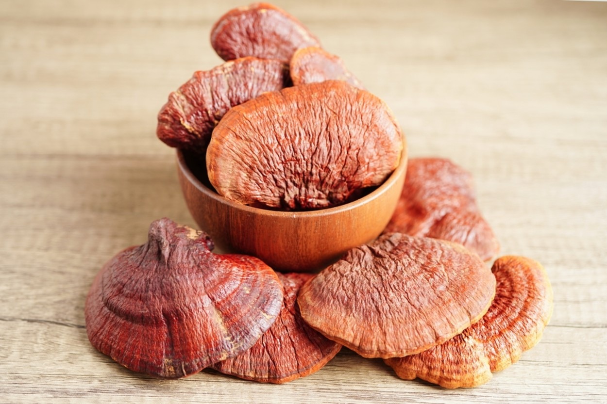 Ölümsüzlük Mantarı da Denir: Reishi Mantarı Nedir, Faydaları Nelerdir?