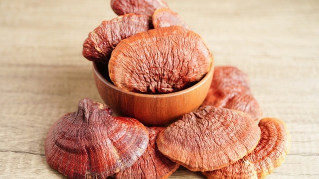 Ölümsüzlük Mantarı da Denir: Reishi Mantarı Nedir, Faydaları Nelerdir?