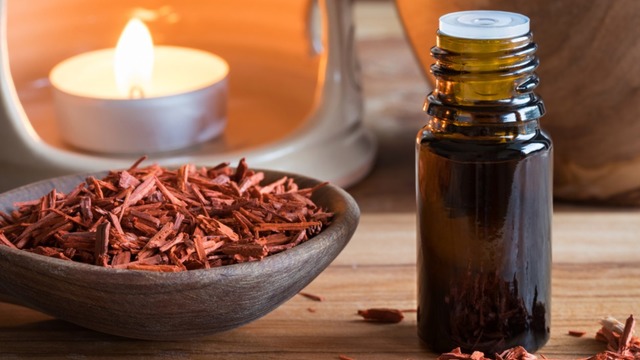 Sandal Ağacı Yağı: Faydaları ve Kullanımı