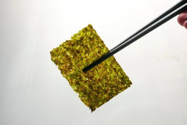 Nori