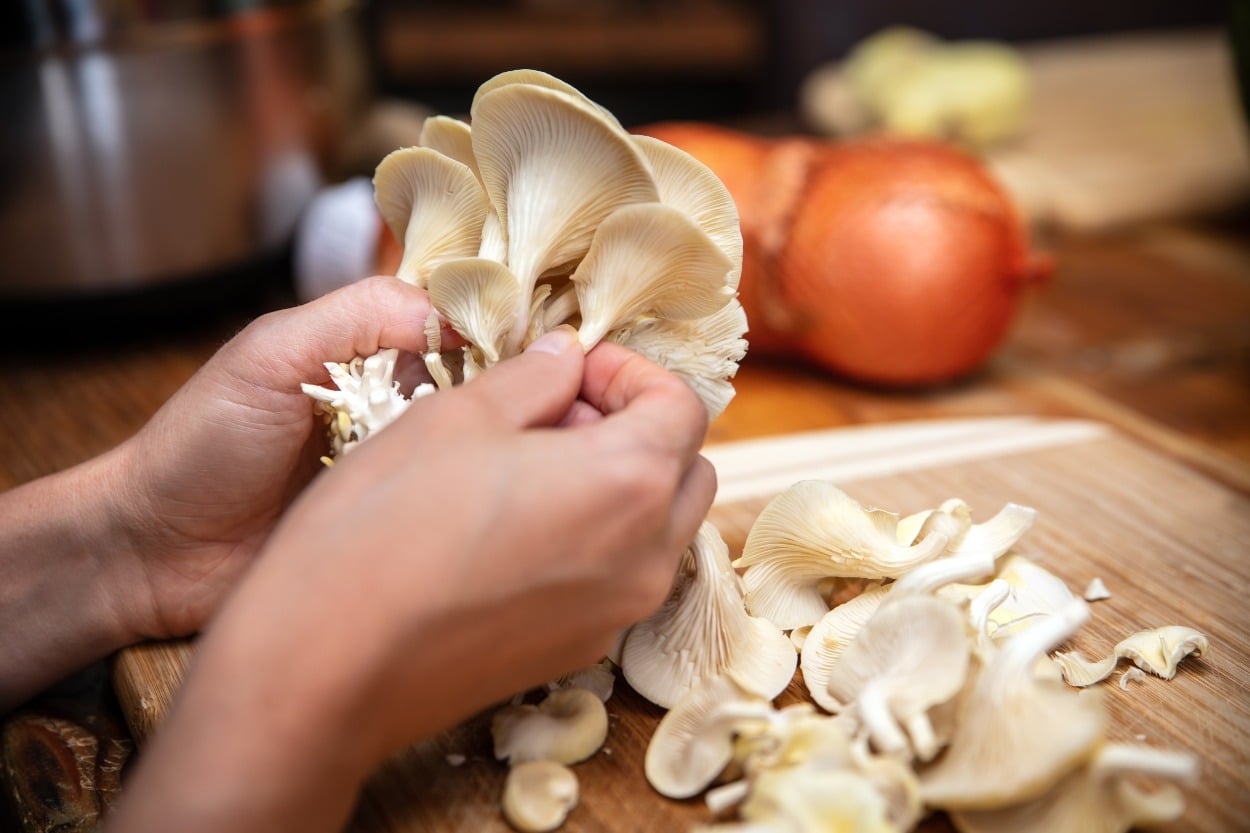 İstiridye Mantarı Yıkanır mı? İstiridye Mantarı Nasıl Temizlenir?