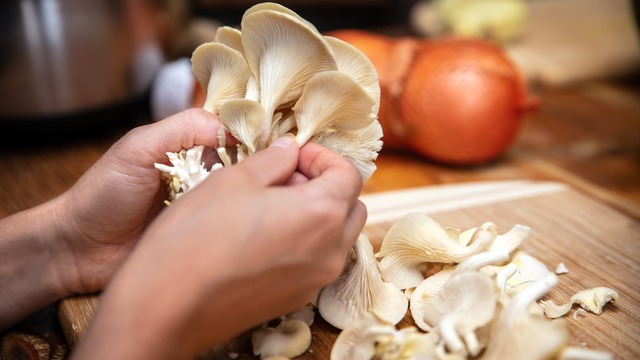 İstiridye Mantarı Yıkanır mı? İstiridye Mantarı Nasıl Temizlenir?