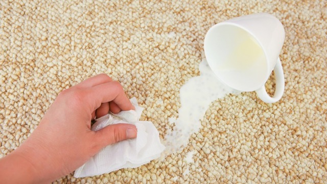 Süt Lekesi Nasıl Çıkar? Kıyafet, Halı ve Koltuk İçin İpuçları