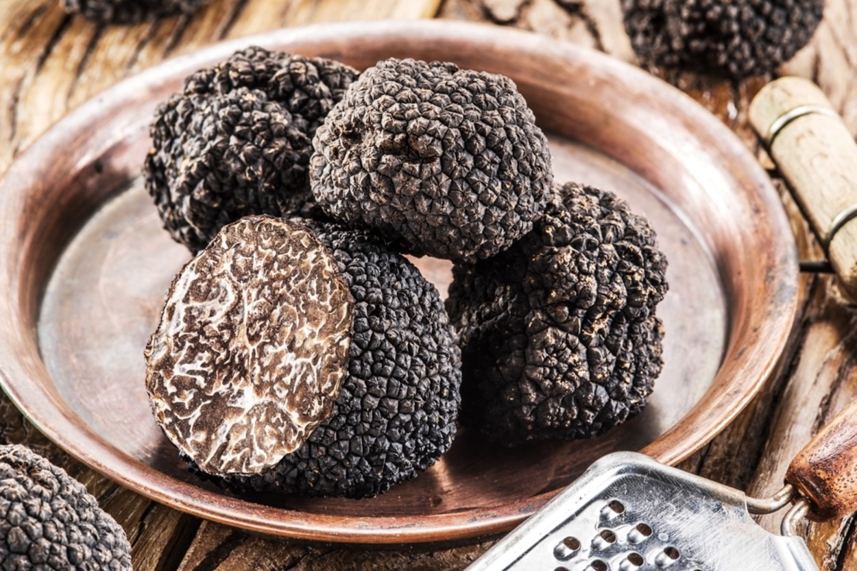 Trüf Mantarı Nedir? Özellikleri, Faydaları ve Kullanım Alanları