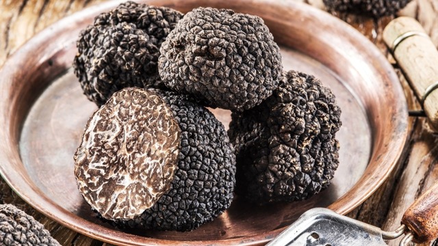 Trüf Mantarı Nedir? Özellikleri, Faydaları ve Kullanım Alanları