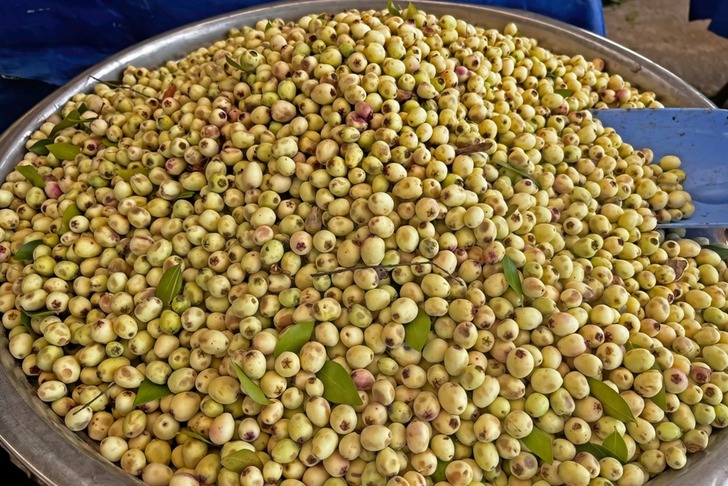 Mersin Meyvesi