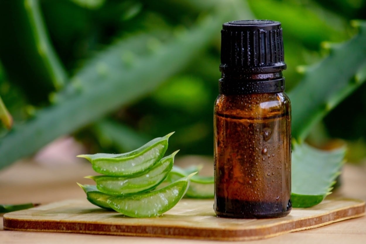 Aloe Vera Yağı Neye İyi Gelir? Nasıl Kullanılır?
