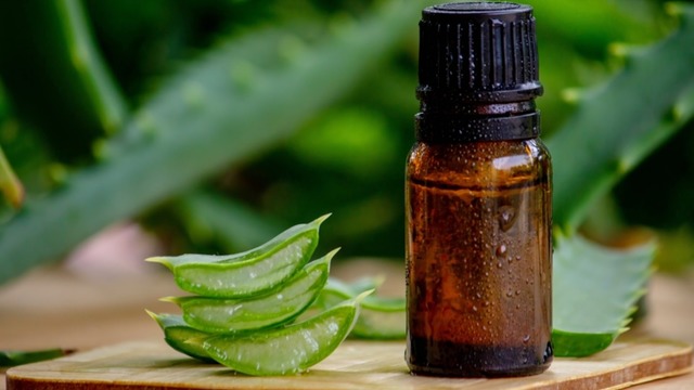 Aloe Vera Yağı Neye İyi Gelir? Nasıl Kullanılır?