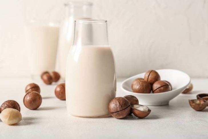 Macademia Fındığı