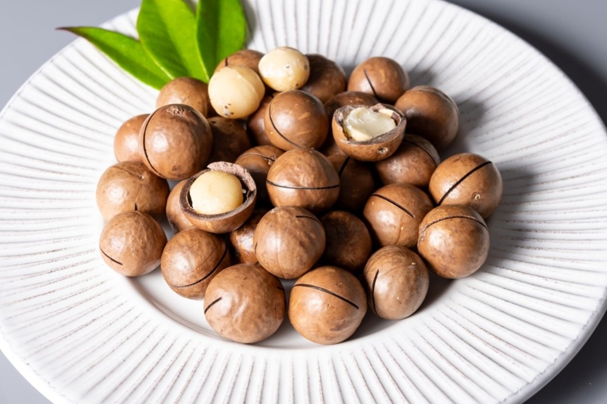 Macadamia (Makademya) Fındığı Nedir, Faydaları ve Kullanımı