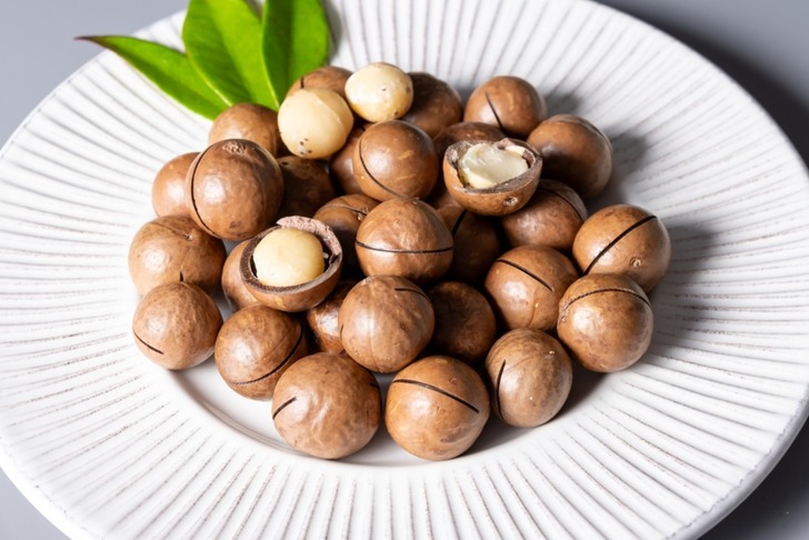Macademia Fındığı