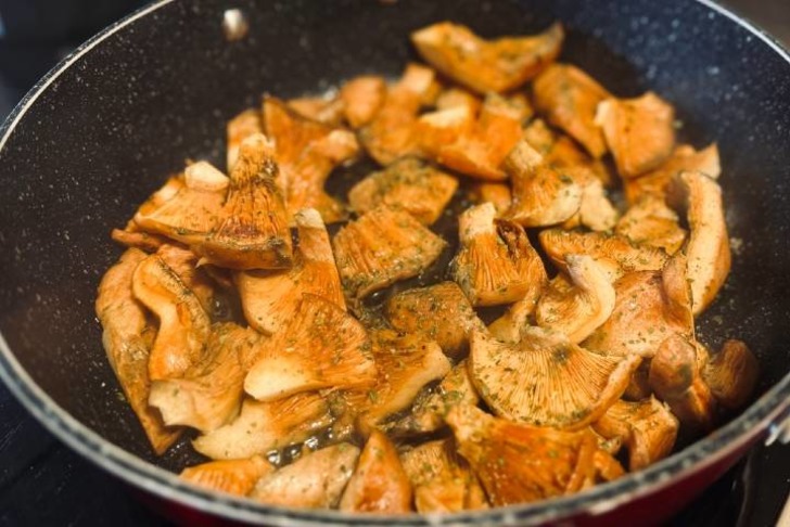 Gelincik Mantarı