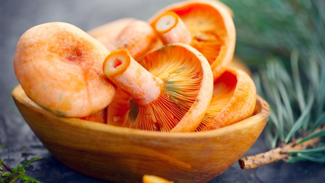 Gelincik Mantarı Nedir, Nasıl Pişirilir? Özellikleri ve Faydaları