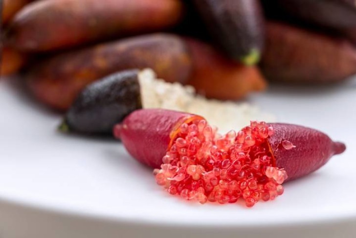 Finger Lime