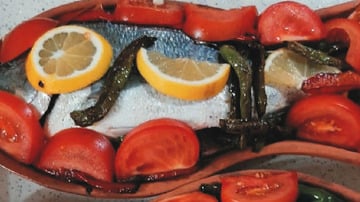Yapılış - 8. Adım