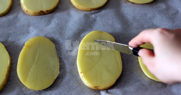 patates-dilim-pizza-3
