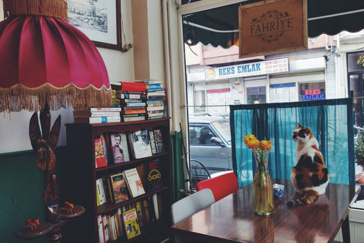 Hem Ruhunuzu Hem Midenizi Doyurabileceğiniz İstanbul’daki 7 Kitap Kafe