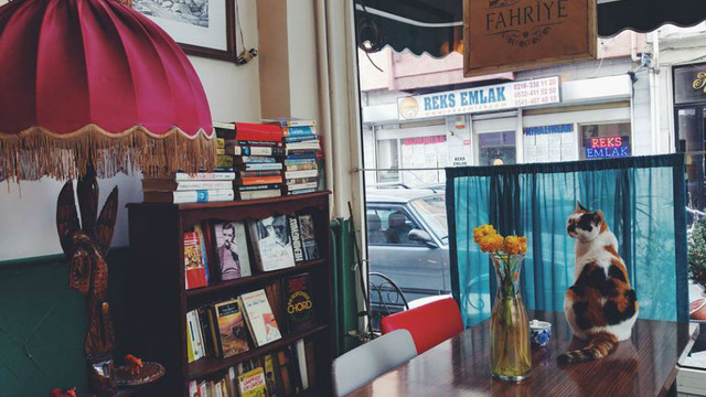 Hem Ruhunuzu Hem Midenizi Doyurabileceğiniz İstanbul’daki 7 Kitap Kafe