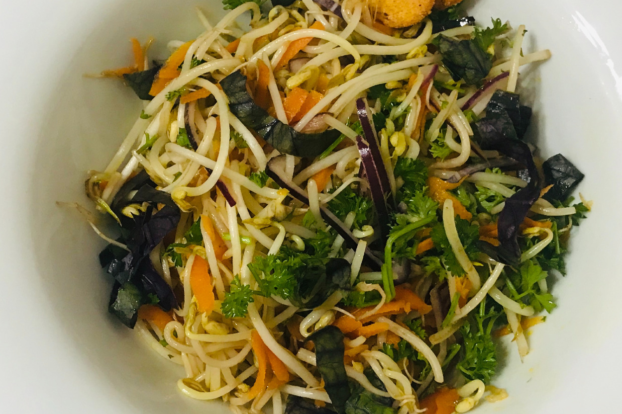 Vitamin Dolu: Soya Filizi Salatası