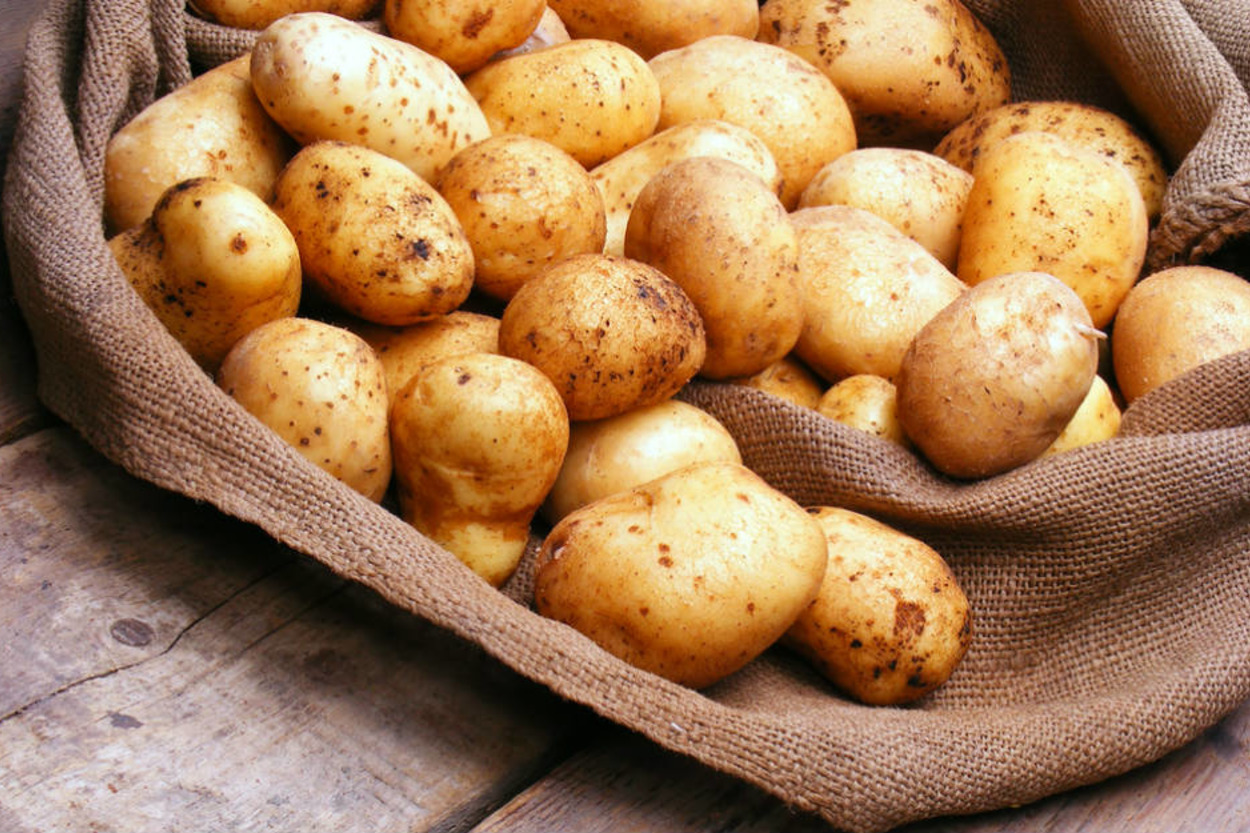 Patates